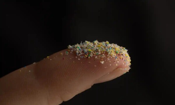 수술을 받은 환자 13명 중 11명의 조직에서 입자가 발견되었으며 폴리프로필렌과 PET가 가장 많았다 (사진: 데이비드 켈리)