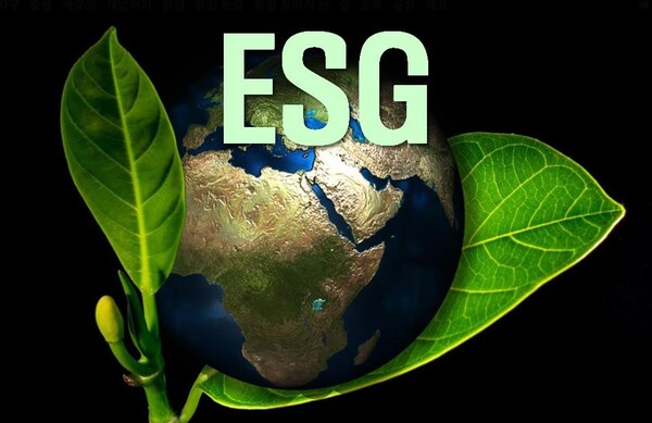 백서에서는 기업의 사회적 책임 경영이 기업과 제품에 대한 소비자 태도에 직접적인 영향을 미치는 것으로 평가했다.(사진이미지=pixabay)