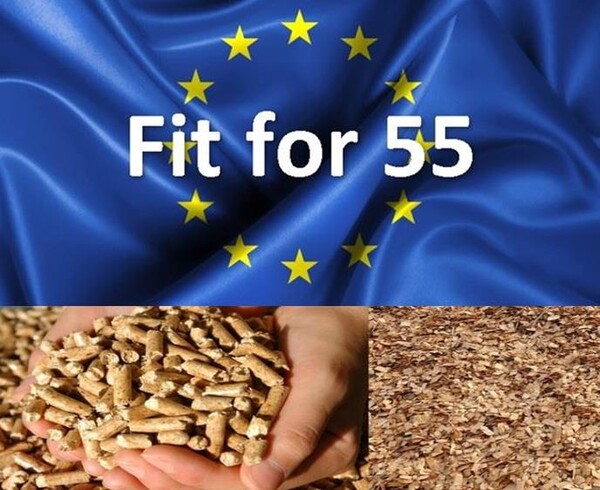 유럽연합(EU)이 바이오매스 발전에 한국은 기준에 못 미친다고 제동을 걸었다.(사진=PIXABAY 이미지합성)