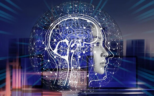 사진은 기사와 무관하며 이해를 돕기위한 자료임.(사진=PIXABAY)