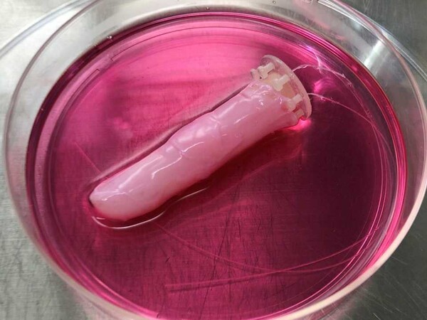 인간의 살아있는 세포로 덮여 자기 수리하거나 물을 튀기거나 할 수 있다. (사진=Shoji Takeuchi)