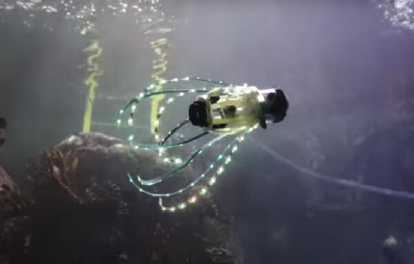 UCSD 연구진이 개발한 두족류를 닮은 수중 로봇.(사진=UCSD)