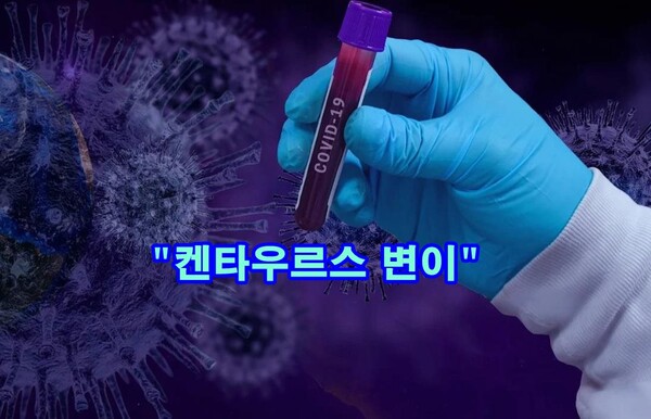 새로운 변종은 BA.2.75로 확인되었으며 "켄타우르스"라는 별명이 붙었다. (사진=pixabay)