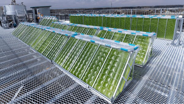 ​CO2를 줄이기 위한 수단의 하나가 식물에 흡수시켜 고정해 버리는 방법으로 매우 독특한 연구가 혼다의 드리모(DREAMO) 기술을 일본 허프포스트가 4월 6일 발표했다.(사진=혼다)​