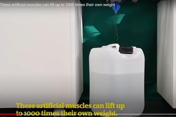 연구팀이 테스트 한 결과 8g의 액추에이터가 최대 8kg의 물건을 들어올릴 수 있었다..(사진=이탈리아 공과대학)