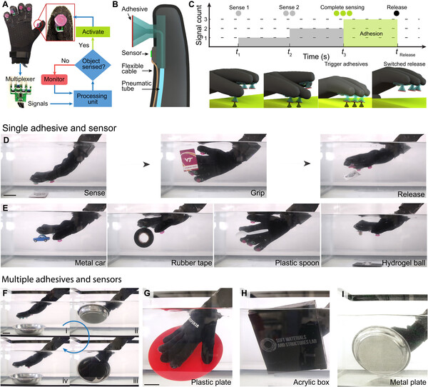수중장갑 발표논문.( 자료=AAAS) 