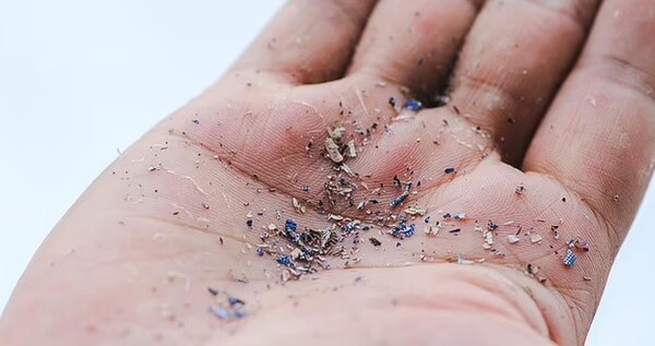 호주 뉴캐슬 대학 연구분석에 따르면 평균적으로 우리는 일주일에 신용카드 1장에 해당하는 플라스틱을 섭취한다는 연구 결과가 나왔다. (사진=Daily Mail)