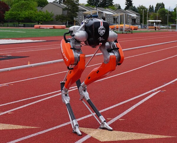  2족 보행 로봇 캐시(Cassie)가 100m 달리기를 24.73초에 주파하여 기네스 세계 기록을 수립했다.(사진=Agility Robotics)