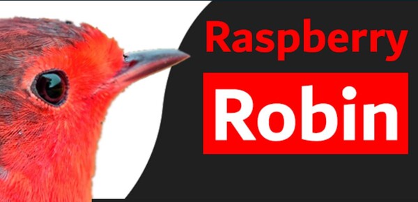 마이크로소프트는 USB 연결의 메모리·드라이브를 통해 감염되는 새로운 바이러스 '라즈베리 로빈(Raspberry Robin)' 에 대한 경고를 주의했다.(사진=HarfangLab)