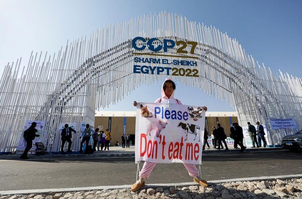 기후변화 활동가가 2022년 11월 7일 이집트 샤름 엘 셰이크에서 열린 COP27 기후 정상회의 개막식에서 샤름 엘 셰이크 국제 컨벤션 센터 입구에서 현수막을 들고 시위를 하고 있다.(사진=REUTERS/Mohamed Abd 엘 가니)