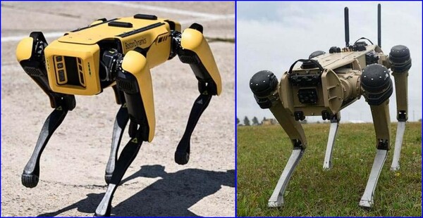 보스톤 다이내믹스 스팟모델(왼쪽사진=IOT WORLD TODAY) 과 고스트 로보틱스사의 Vision 60모델 미군 경비견.(오른쪽사진=미 공군)
