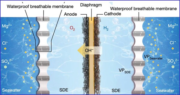 (사진=난징대학)