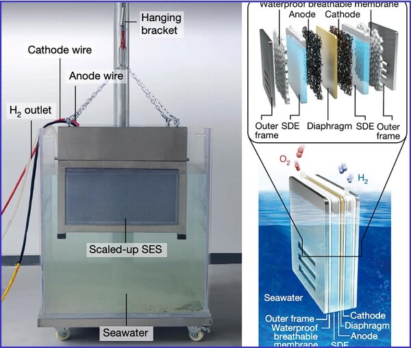 (사진=난징대학)