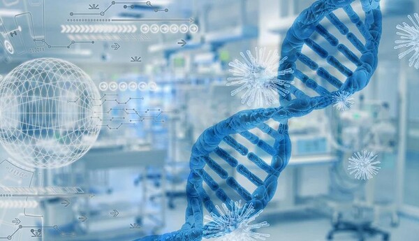 캘리포니아 대학 연구원들은, 8가지 유형의 SCID가 있으며 각각 다른 유전적 돌연변이의 결과를 확인했다. (사진=pixabay) 