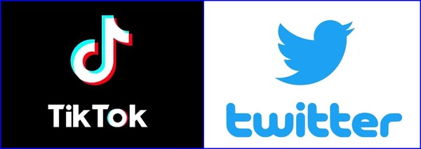 틱톡과 트위터 로고(사진=각사)