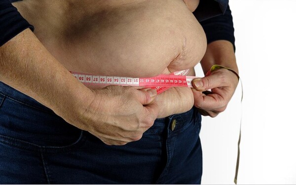 요크 대학 동물 연구에 따르면 염증과 관련된 과정은 남성의 지방 조직에서 더 많이 발생한는 이유라고 설명했다.(사진=pixabay)