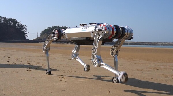 카이스트는 모래와 같이 변형하는 지형에서도 민첩하고 견고하게 보행할 수 있는 4족 로봇 제어기술을 개발했다.(사진=카이스트)