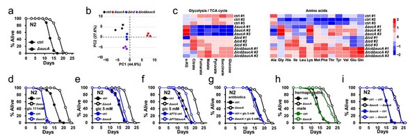 글루코스 식이를 제한하면 일반적인 식이 제한의 부작용 없이 평균 수명과 건강수명 모두를 증가하는 연구데이터.(자료=NATURE)