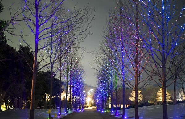 빛의 정원연출.(사진=순천만정원박람회)