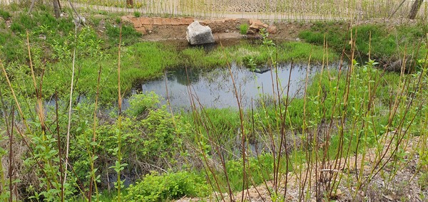  둠벙은 주로 천수답에 의존하여 벼농사를 짓던 시절, 임시로 용수를 가두어 두는 물 저장고를 이르는 말이다.(영흥수목원의 둠벙/ 디지털비즈온 DB) 