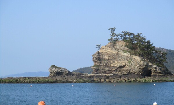 (사진=완도 와도)