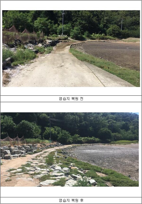 염습지 복원 전·후 현황사진 [제공=국립공원공단]