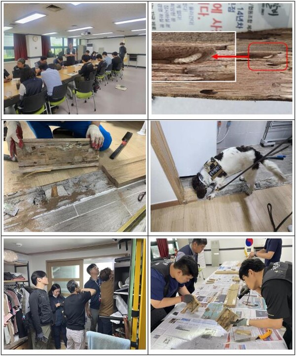 역학조사 사진 [제공=관계부처합동]