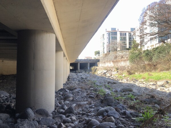 한천 바닥은 유네스코에 등재된 제주도 특성상 하천 바닥이 화산암으로 형성돼 있고 제주공항에서 오고가는 길목이다. 화산암은 생태관광자원으로 가치를 가진 만큼 공사를 가급적 친환경공법 적용해야 마땅하다는 지적이다. 