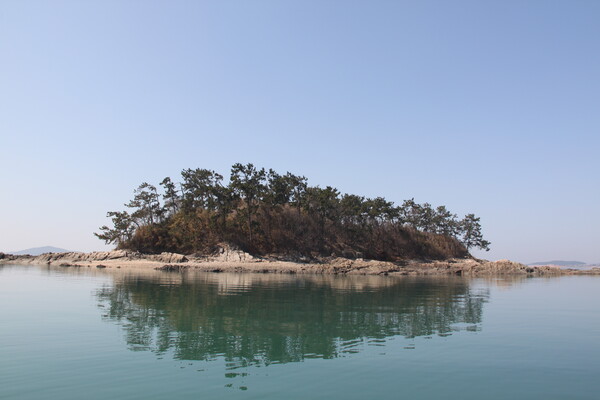 전남 무안군 현경면에 위치한 소도를 ‘6월, 이달의 무인도서’로 선정했다.