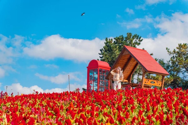 ‘2022 섬살이’ 참여자(이예나씨)-신안 병풍도