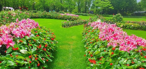 8월, 순천만국가정원에 80종, 130만 본의 여름꽃이 활짝 피었다-개울길광장