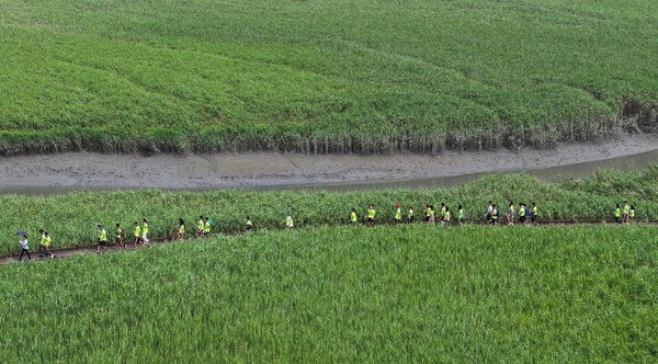​(사진=대만 잼버리 대원들이 순천만습지 탐방에 나섰다.)​