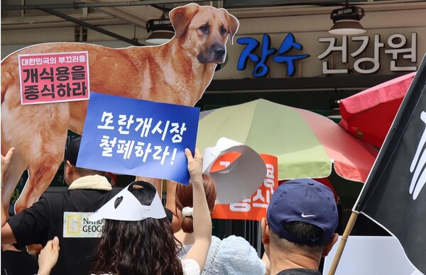 (사진=동물권행동 카라) 