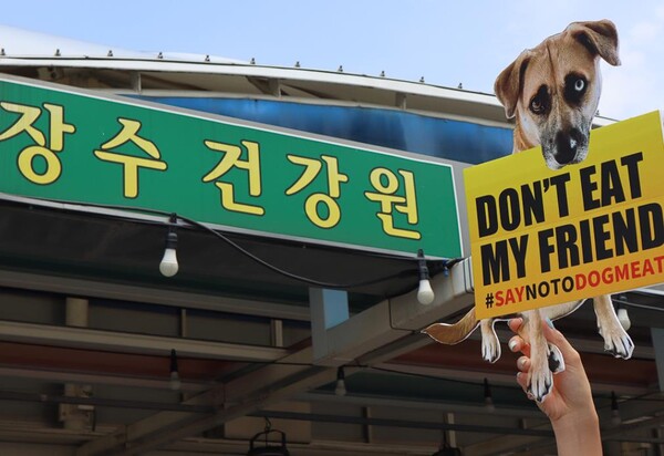 (사진=동물권행동 카라) 