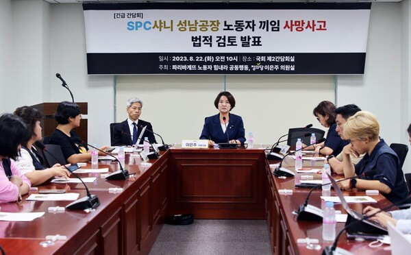 (사진=이은주 의원실)