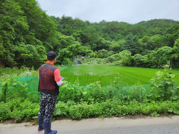 북면 농업인을 위한 공동방제 시행 [제공=한울원자력본부]