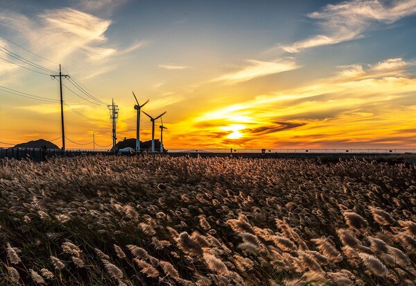  대부도(경기 안산시)