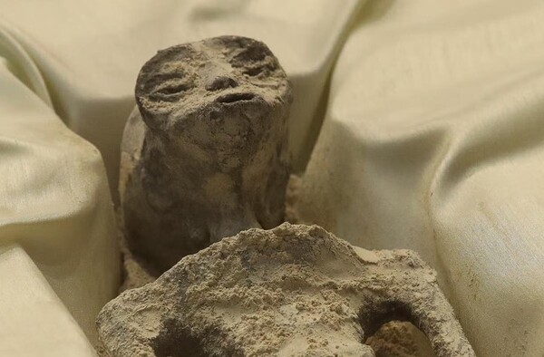 페루 쿠스코에서 발견된 두 개의 작은 외계인 시체가  멕시코 의회에서 공개되었다.(사진=로이터)