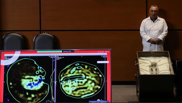 청문회에서 표본의 엑스레이도 공개되었으며, 전문가들은 시체 중 하나에 내부에 "알"이 들어 있는 것으로 보인다고 선서하에 증언했다.(사진=로이터)