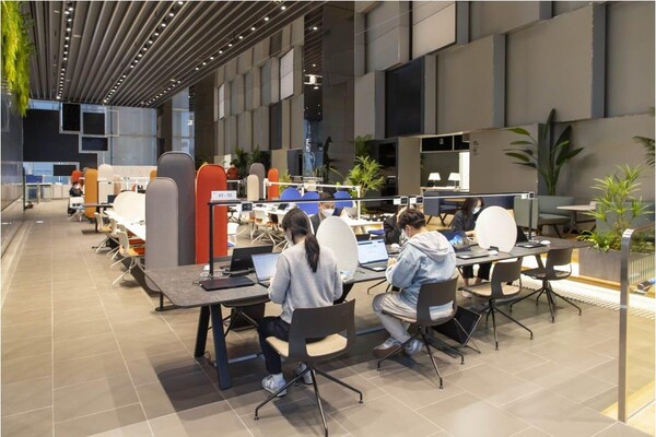 삼성전자 거점 오피인 딜라이트 서초(서울 서초구)에서 임직원들이 근무하는 모습 [제공=삼성전자]