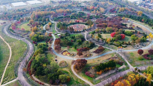 과거 연탄재 야적장으로 사용되던 땅이 드림파크 야생화단지가 산림청이 인증하는 도시숲·생활숲 부문 모범도시숲으로 최종 선정됐다.
