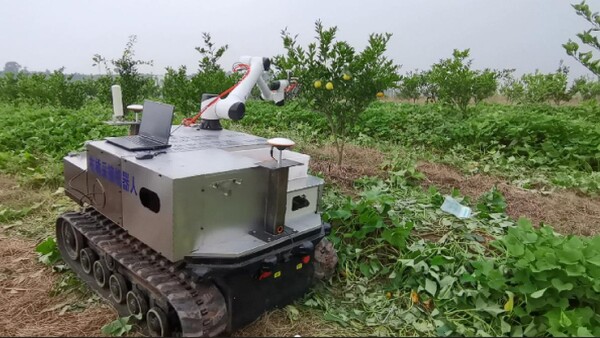 중국 충칭대 스마트감귤따기로봇