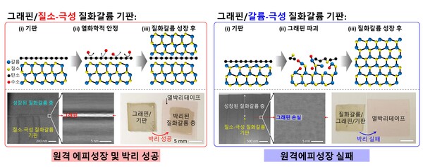 세종대 홍영준·홍석륜 교수 연구팀은  기판 손상 없는 질화갈륨 반도체 성장·박리법을 개발했다.(자료=세종대)