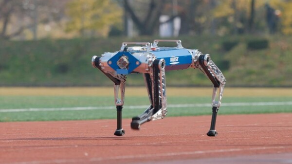 하운드가 러닝머신 위에서 초당 6.5m (시간 당 23.4km)의 속도로 달리는 모습 (사진=KAIST)