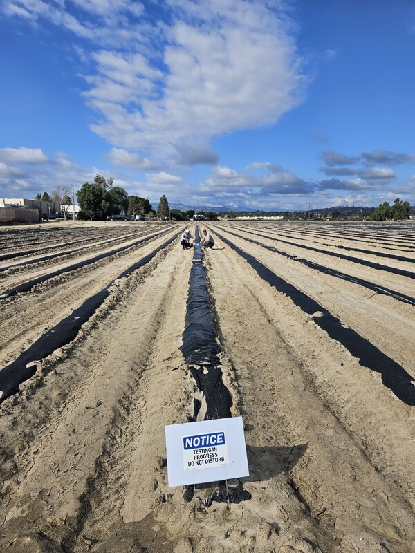 ▲ GEM-Pack Berries 농장(사진=BADP Korea 제공)