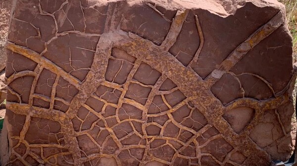 지질 현장 단면은 2억 5,200만 년 전 전 극도로 건조된 육지 표면. (사진=University of Bristol )