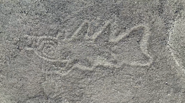 (사진=야마가타 대학 나스카 연구소) 페루의 나스카 사막에서 촬영된 드론 영상에는 새로 발견된 303개의 고대 상징 중 하나인 칼을 든 범고래가 등장한다.