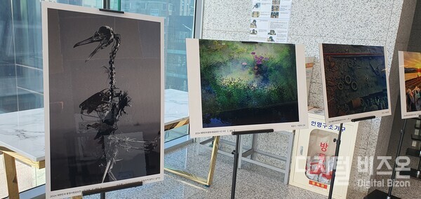 (좌측 첫번째 사진 = 대상 수상작. Entanglement : 지독하게 얽히고 설키는/이우열 작 )