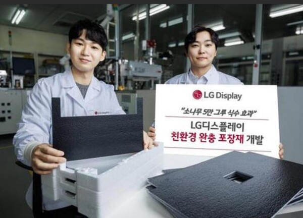 LG디스플레이 직원이 재생 플라스틱 원료 기반 친환경 완충 포장재를 소개하고 있다. (사진=LG디스플레이 제공) 