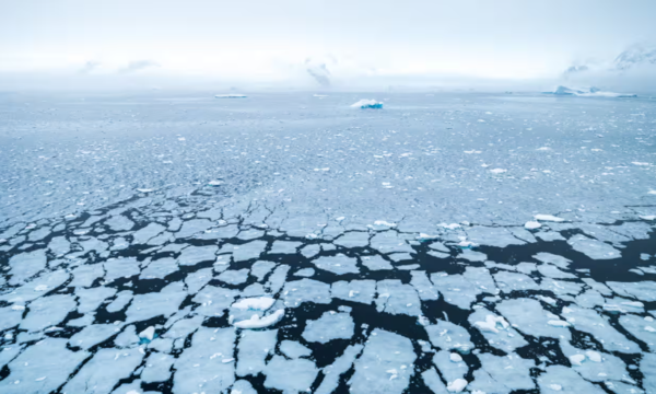 (사진=게티이미지)